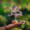 Amethyst Small Gemstone Tree