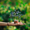 Sodalite Crystals Tree