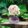 Rose Quartz Gemstone Chips Tree With Amethyst Cluster Base