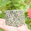 Dalmatian Jasper Gemstone Cube