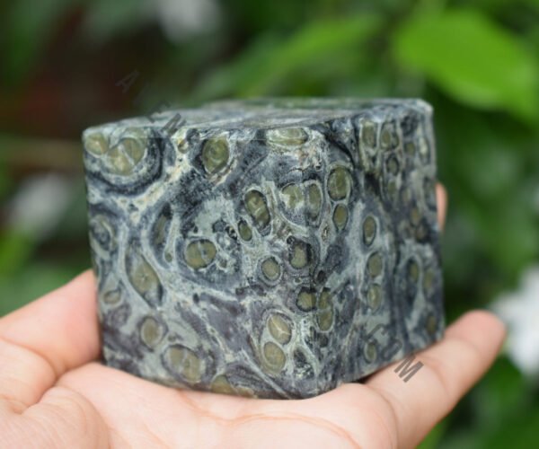 Kambaba Jasper Gemstone Cube